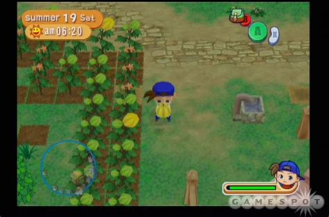 Solve mysteries and uncover hidden treasures in Wii Harvest Moon Magical Melody